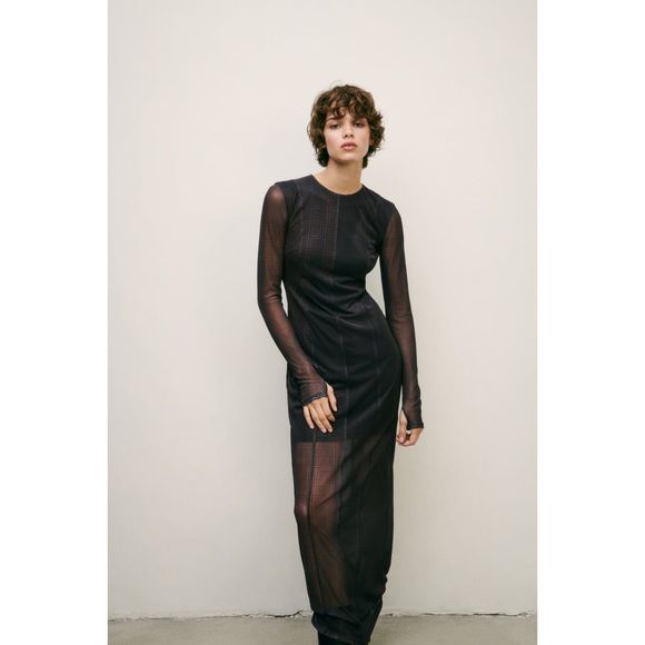 ZARA Blended Fabrics Long Sleeves printed tulle Sheer Dresses - Picture 10 of 14